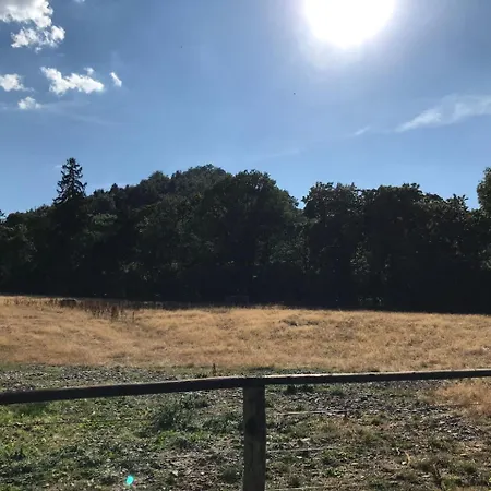 Am Elfenstein Apartment