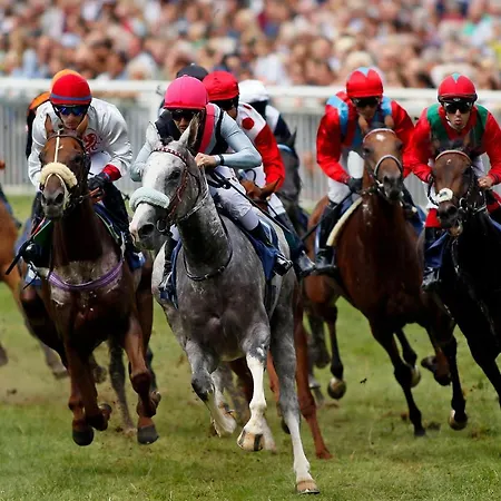 Am Elfenstein Apartment Bad Harzburg